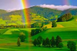 arcobaleno 24 lista